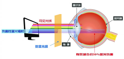 芭乐视视频污APP最新科技成果 芭乐下载IOS官方网站老版本成護眼利器